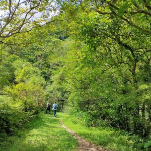 淡蘭古道中路一中坑古道、北豹子廚山、崩山坑古道、柑腳山Ｏ型