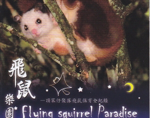 【DVD】飛鼠樂園：頂笨仔聚落飛鼠保育全紀錄