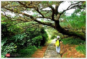 走遍陽明山尋寶任務