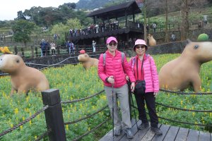 2026-02-19 木柵貓空走春─樟樹步道→獅球山→魯冰花海→樟湖山→樟山寺→飛龍步道→樟山→炮子林山