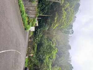 皇帝殿20260329