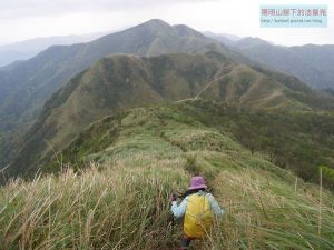 【宜蘭】鶯子頂山-鶯子嶺 原路來回