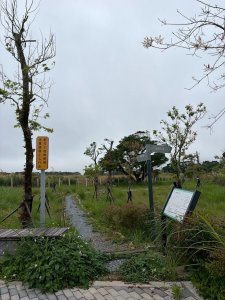 新北 林口 國際AI智慧園區-工一森林小徑-雪花步道-祖師巖登山步道-湖內公園
