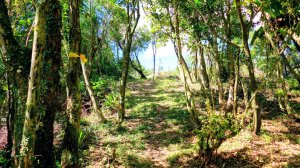 中坑古道東山西山