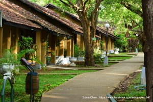 2026.07.19 Habarana Village Hotel 辛那蒙哈巴拉娜鄉村飯店