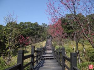 【新北市】樹林大同山、青龍嶺、大棟山步道連走