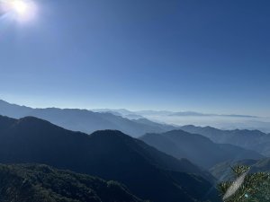 鳶嘴稍來山步道 一月限定的紅榨槭落葉地毯