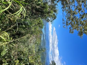 20250821_後尖山（南投小百岳）