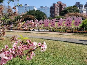 東湖＞樂活公園賞櫻＞五分埤步道＞內溝溪生態館＞明舉山＞康樂山東北峰＞大湖公園捷運站