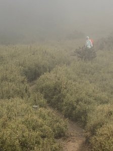 《合歡西北峰》霧茫茫的奇幻旅程