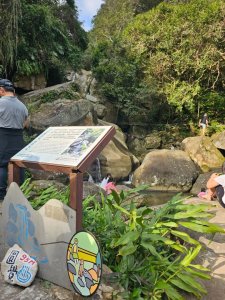 20250228 碧山巖賞櫻&鯉魚山步道