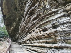 靑年嶺步道