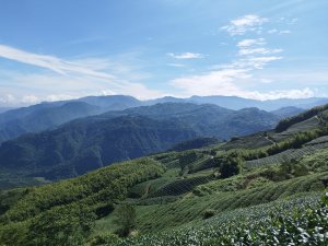[嘉義竹崎][二]交力坪山、芋蓁坑(金獅山)、塘湖山