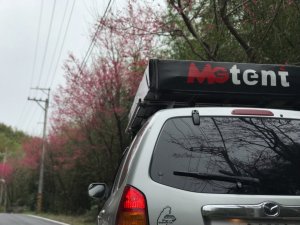 東眼森林遊樂區慢活樂趣