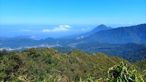 蛇來運轉之蛇年爬蛇山  蛇子形古道-三爪子坑山-蛇子崙山O型