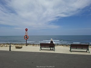 《桃園》驕陽似火｜永安北岸濱海步道