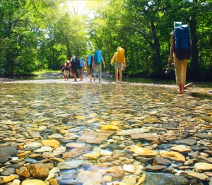 【戶外百科】夏日登山健行，如何安全過溪？