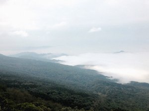 ［加里山］鹿場登山口杜鵑嶺-鐵道