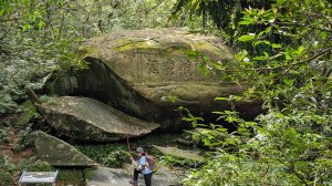 114.11.09草嶺古道芒花季之旅