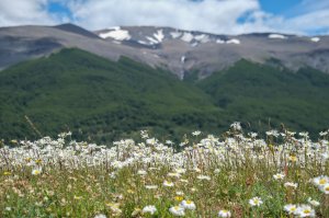 智利 O CIRCUIT TORRES DEL PAINE