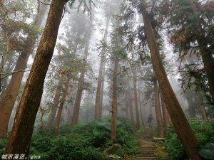 苗栗~雲霧裊裊如仙境~小百岳仙山登山步道