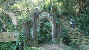 《新竹》湖口老街｜金獅古道O繞茶香及仁和步道