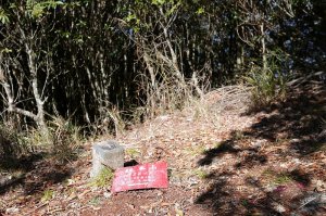 鐵本山