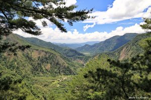 惠蓀林場巨松台步道---經山嵐小徑、關刀山林道