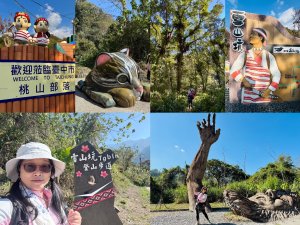 雪山坑登山步道尋巨人