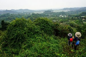 【台南】白河白水溪山