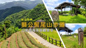 [新北坪林] 這茶園景色也太美！獅公髻尾山300公尺登頂，還能遠眺台北101