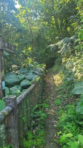 2025-0310臺北大縱走第七段