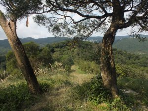 大邱田東峰、水尾潭西北峰、水尾潭山、老鷲尖、翠湖步道