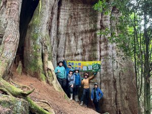 探訪台灣NO.1-大安溪神木與百岳.中雪山，加碼合流山