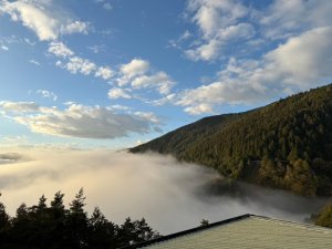 【走來走去-21】太平山兩日遊-茂興、見晴、鐵杉林、檜木原始步道