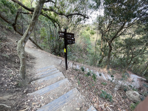 桃源里森林步道(三清宮步道)