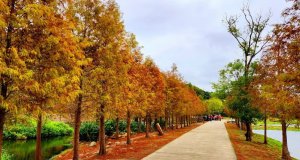 月眉濕地生態公園，山豬湖生態親水園區，李騰芳古宅，娘子坑山，壽山，二鬮山