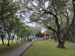 [樟之細路_第一大段RSA03] 2026_0329 石園