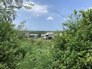 20250830台南深坑子