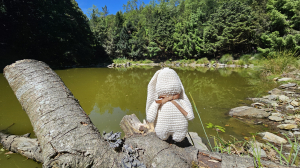 【被遺忘的南橫仙境】中之關、天池步道O繞10K