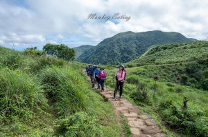 【台北陽明山】風擎步道｜風櫃口-擎天崗絕美大草原看水牛群，台北景點推薦