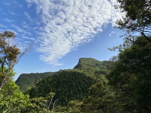 蓮包山、外鳥嘴山、那結山、貴妃山、水田林道O 型縱走