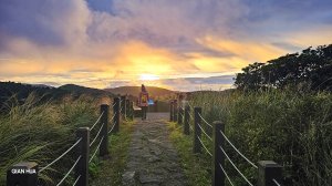 【七星山步道】台北市最高峰，箭竹、白芒、溫泉、冷水坑登山口#小百岳02