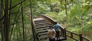 奮起湖木馬棧道