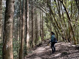 【台中】谷關七雄｜大雪山上屋我尾山