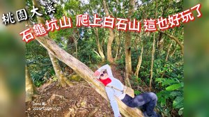 20251229石龜坑山上白石山下白石埤O走+阿姆坪