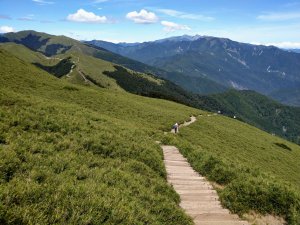 合歡東峰《入門百岳。有點陡峭的木棧步道》