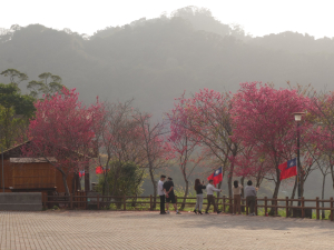埋伏坪步道。雙崎部落