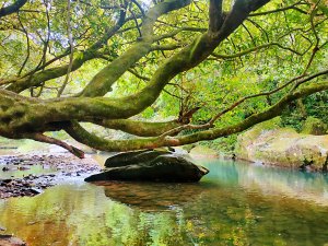 虎豹潭古道