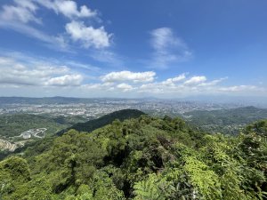 天上山縱走賞桐(大暖坑-天上山-烘爐地)